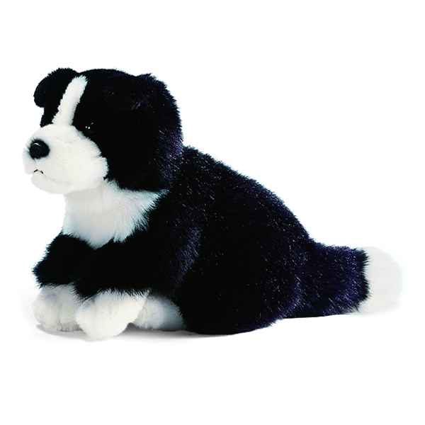 Anima - Peluche border colley 25 cm -1613