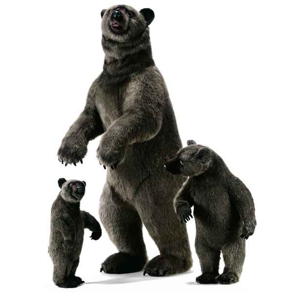 Anima - Peluche grizzly dress 190 cm -4042