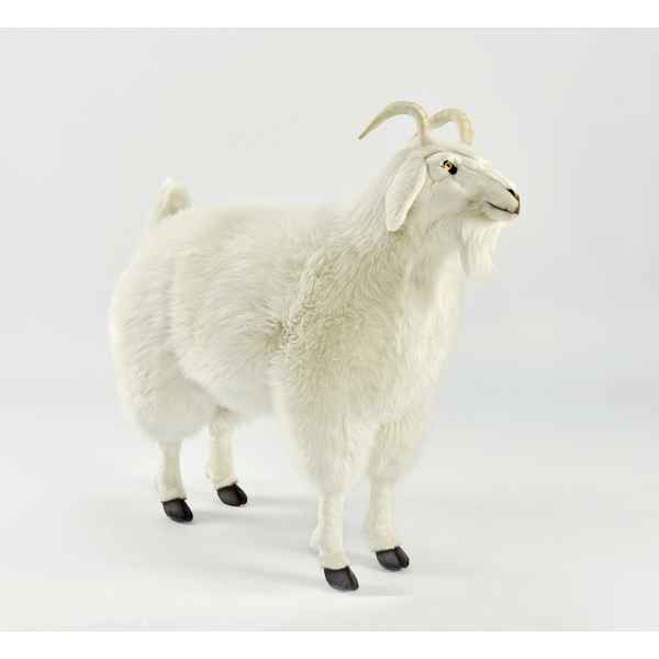 Chevre cashmere Anima -6186