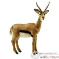 Video Anima - Peluche gazelle bebe 60 cm -4778