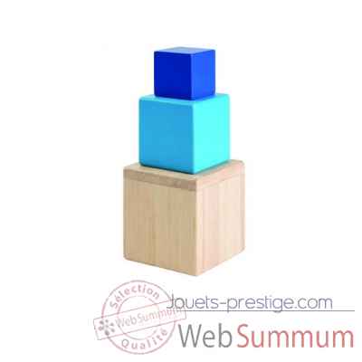 Cubes imbriques Plan Toys -5375