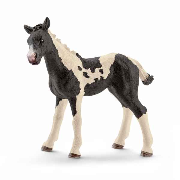 Poulain pinto schleich -13803