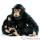 Anima - Peluche chimpanzé 60 cm -2067