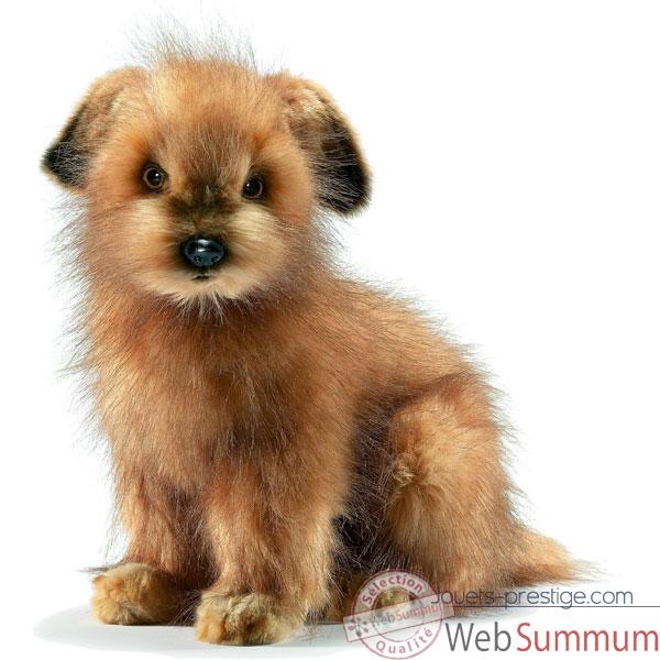 Anima - Peluche norfolk terrier 35 cm-3996