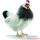 Anima - Peluche poule noire et blanche 40 cm -5034