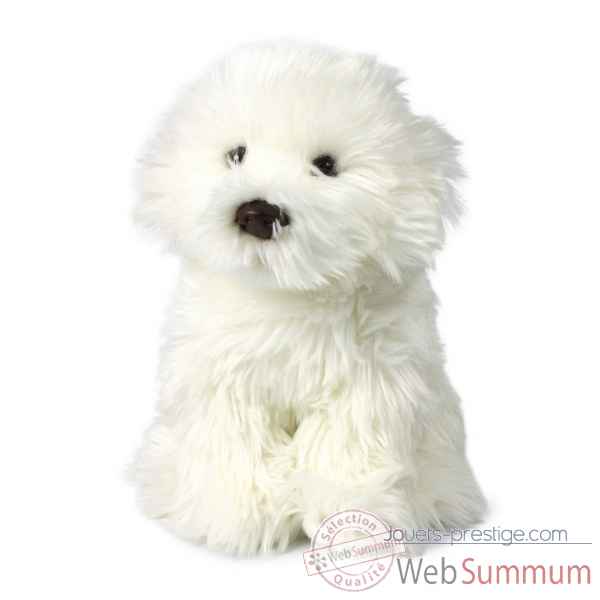 Peluche Bichon maltais 26 cm ACP -28177018