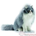 Video Anima - Peluche chat persan assis gris/blanc 35 cm -5012