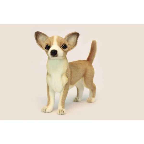 Chien Chihuahua Anima -6295