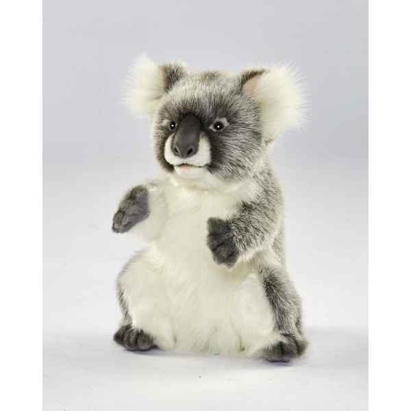 Koala Anima -6298