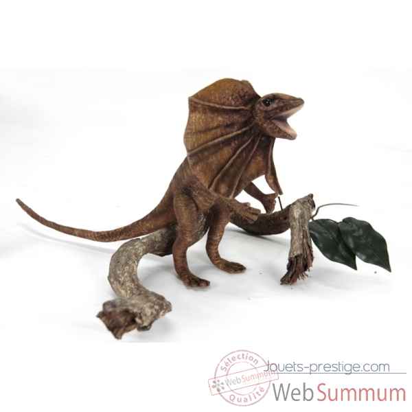 L�zard � collerette (dragon d\\\'australie) Anima -6022