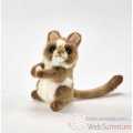 Video Anima - Peluche tarsier 13 cm -4558