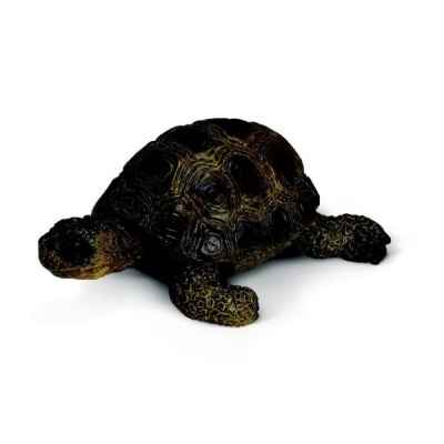 Figurine Schleich - La tortue - 14404
