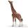 Figurine Girafe mle mangeant Schleich -14389
