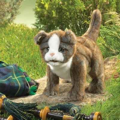 chat Scottish fold kitten Folkmanis -2989