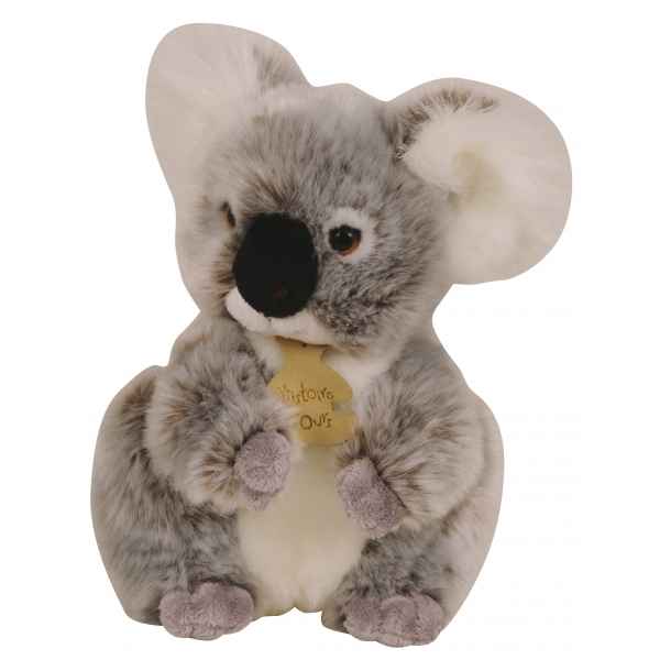 Les authentiques - koala histoire d\'ours -2218