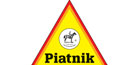 Piatnik-jeux