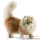 Peluche Chats