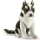 Peluche Chien