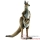 Animaux d'Oc�anie