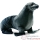 Animaux aquatiques