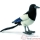 Peluches Oiseaux