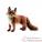 Animaux de la for�t