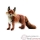 Animaux de la for�t