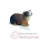 Figurines animaux familiers