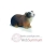 Figurines animaux familiers