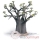 Arbres