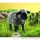 Toutes les Marionnettes Peluches