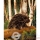 Marionnettes Animaux Sauvages