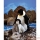 Marionnettes Animaux Aquatiques