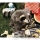 Marionnette Peluche animaux de la for�t