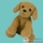 Peluches Chien Histoire d'Ours