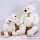 Peluche Ours Histoire d'Ours