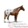 Figurines Chevaux