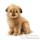 Peluche Norfolk terrier Anima-4126