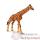 schleich-14321-Figurine bb Girafe