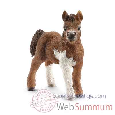 Poulain shetland schleich -13752