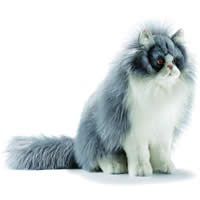 exemple id�e cadeau