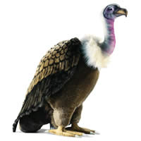 exemple id�e cadeau